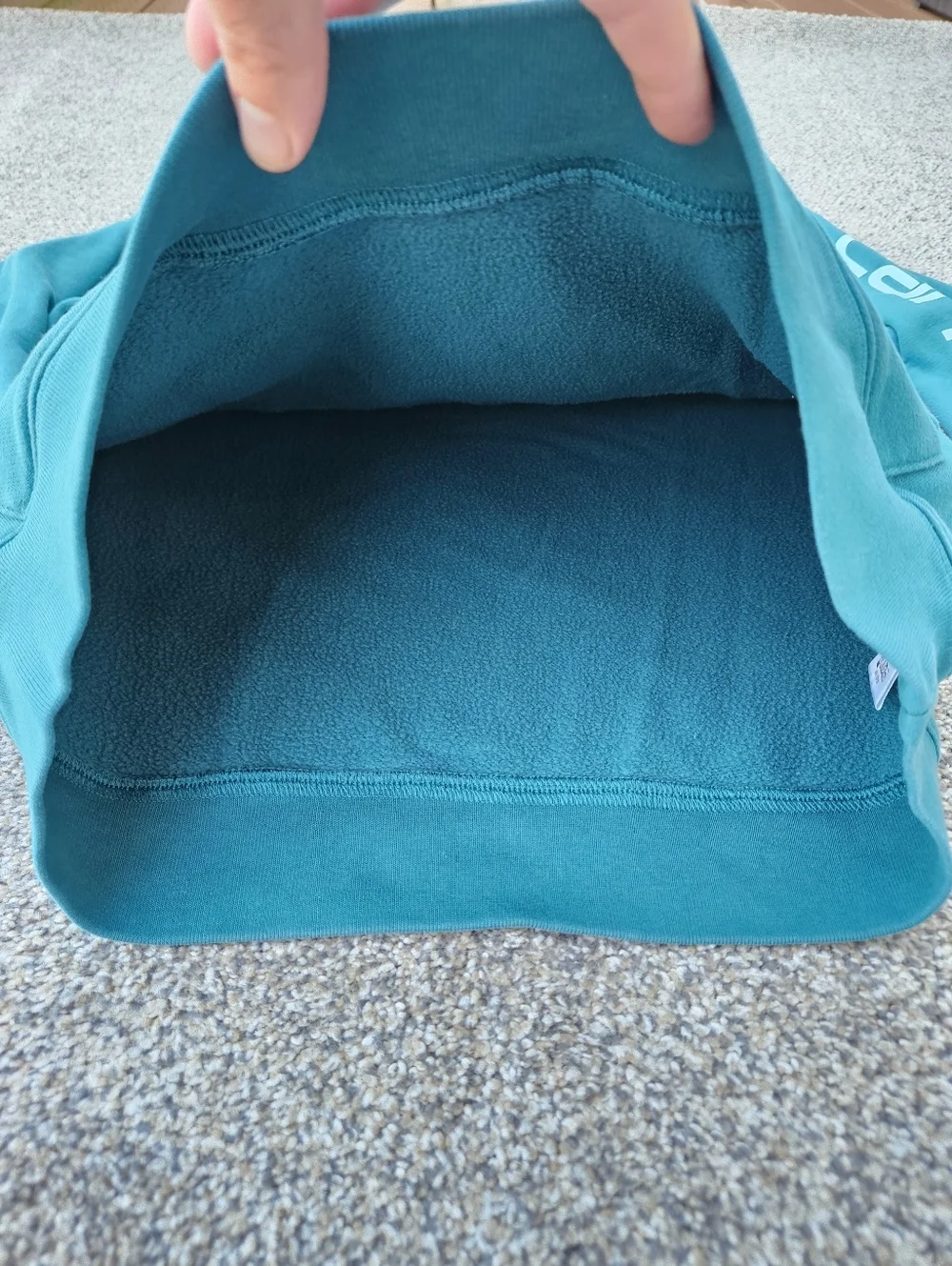 Carhartt Midweight Graphic Hoodie Teal Pullover Sweatshirt Kids Girls Size XL 14
